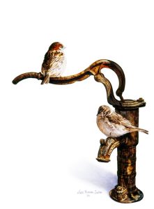 'Flotsam and Jetsam' - Bird Paintings - Watercolor on Arches 300gsm hot pressed paper 17 1/2″ x 12 3/4″ 445 mm x 355 mm