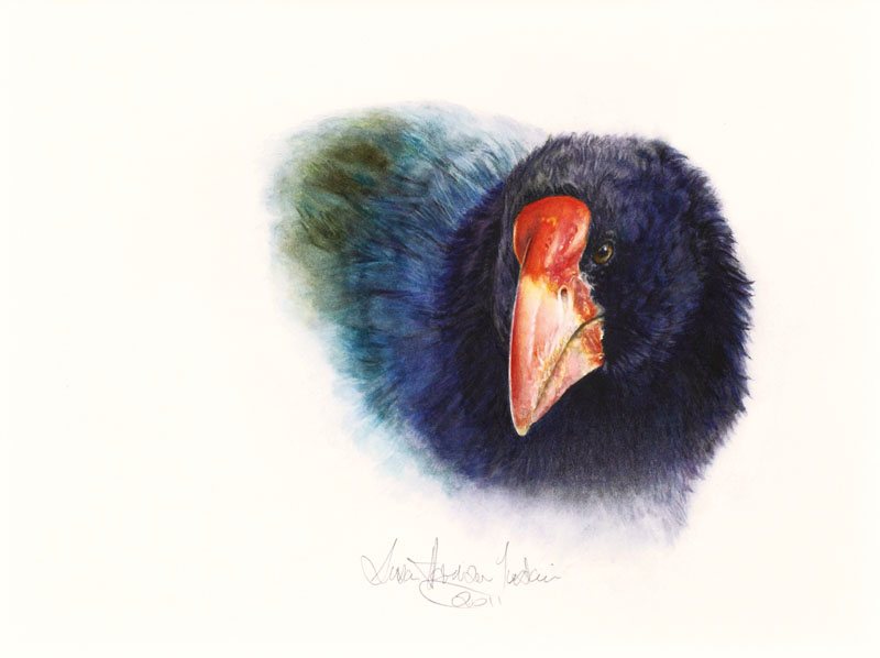 'Hamilton' - Bird Paintings - Watercolor painting