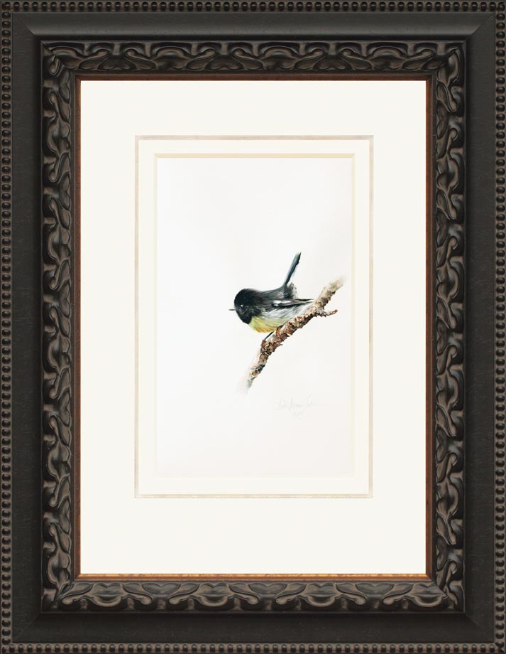 South Island Tomtit framed - Watercolor on Arches 300 gsm Hot Pressed paper Size: 16″ x 10″ 410 mm x 255 mm
