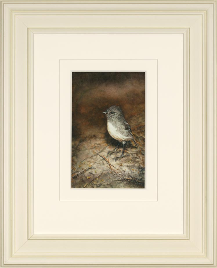 Stewart Island Robin framed - Watercolor on Arches 300 gsm Hot Pressed paper 12″ x 7 1/2″ 300 mm x 190 mm