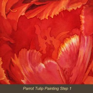 Red Parrot Tulip